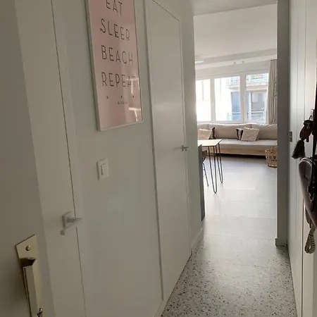 Theodore Oostende-zorgeloos Genieten In Stijl Op De Perfecte Locatie Lejlighed